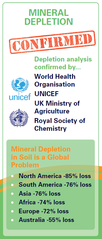 Sizzling Minerals - Essential Mineral Supplement