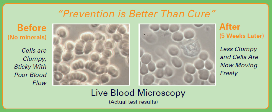 Sizzling Minerals - Essential Mineral Supplement