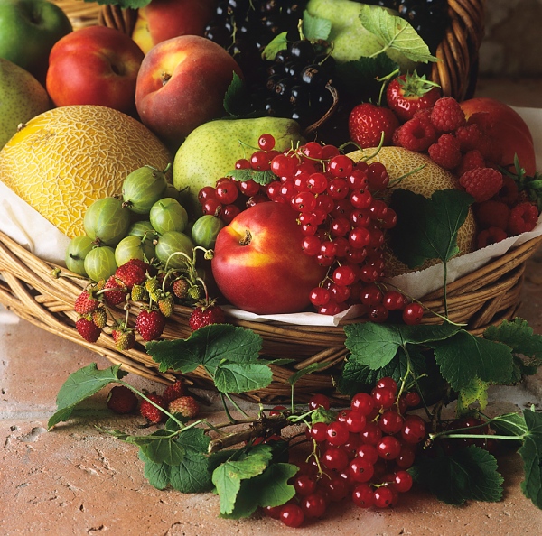 Essential Mineral Supplement